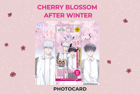 Cherry blossom after winter